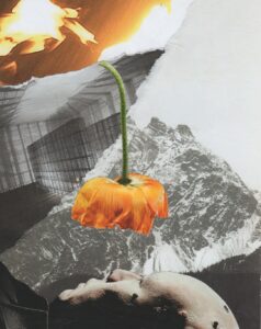 Kate HOLFORD - We Need a New Metaphysics of Nature (collage) 2019