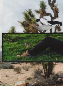 Photo montage of a tree in a desert with a person's legs superimposed