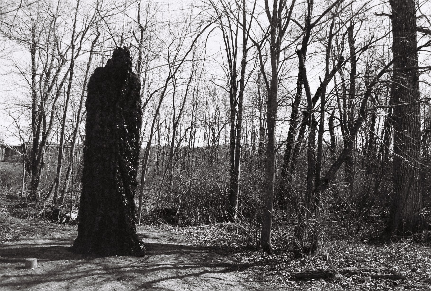 A black and white photograph of a large human-like figure wrapped in camouflage stood in woods